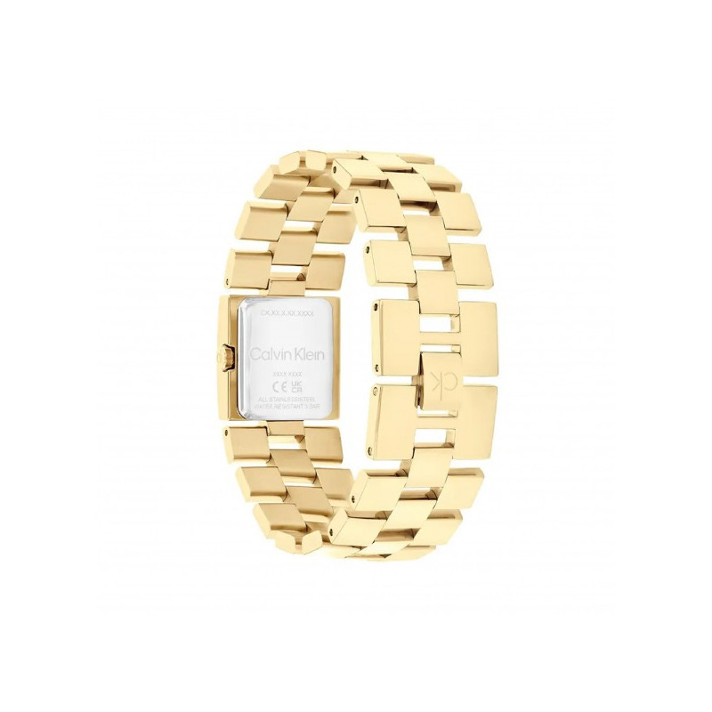 Orologio Donna Calvin Klein Meridian 25100089 Acciaio Oro