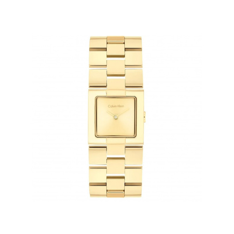 Orologio Donna Calvin Klein Meridian 25100089 Acciaio Oro