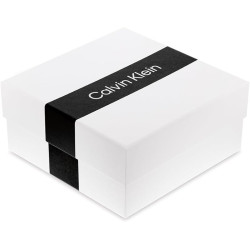 copy of Orecchini Donna Calvin Klein Spiral 35000768 In Acciaio Silver