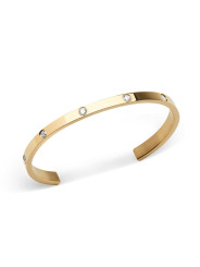 Bracciale Donna Daniel Wellington classic lumine DW00401734 Acciaio Oro