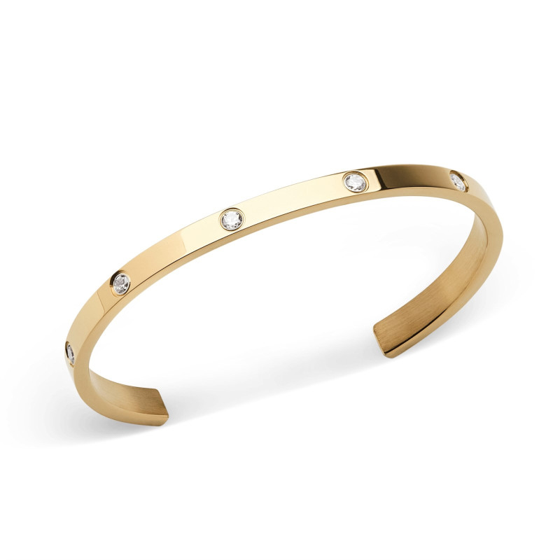 Bracciale Donna Daniel Wellington classic lumine DW00401734 Acciaio Oro