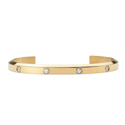 Bracciale Donna Daniel Wellington classic lumine DW00401734 Acciaio Oro