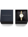 Orologio Donna Daniel Wellington DW00100855 mini arch Quarzo Acciaio Oro