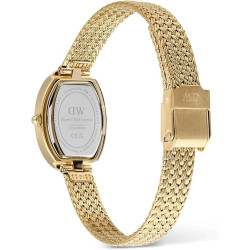 Orologio Donna Daniel Wellington Classic DW00100882 Juliette Evergold Acciaio Oro