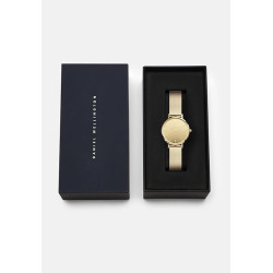 Orologio Donna Daniel Wellington Petite Reflection Evergold DW00100797 – Eleganza e Stile