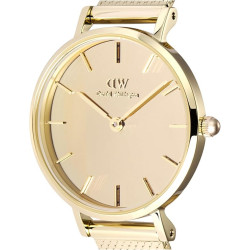 Orologio Donna Daniel Wellington Petite Reflection Evergold DW00100797 – Eleganza e Stile
