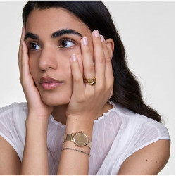 Orologio Donna Daniel Wellington Petite Reflection Evergold DW00100797 – Eleganza e Stile