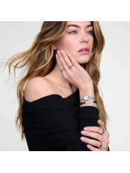 Orologio Donna Daniel wellington DW00100853 mini arch in Acciaio Silver